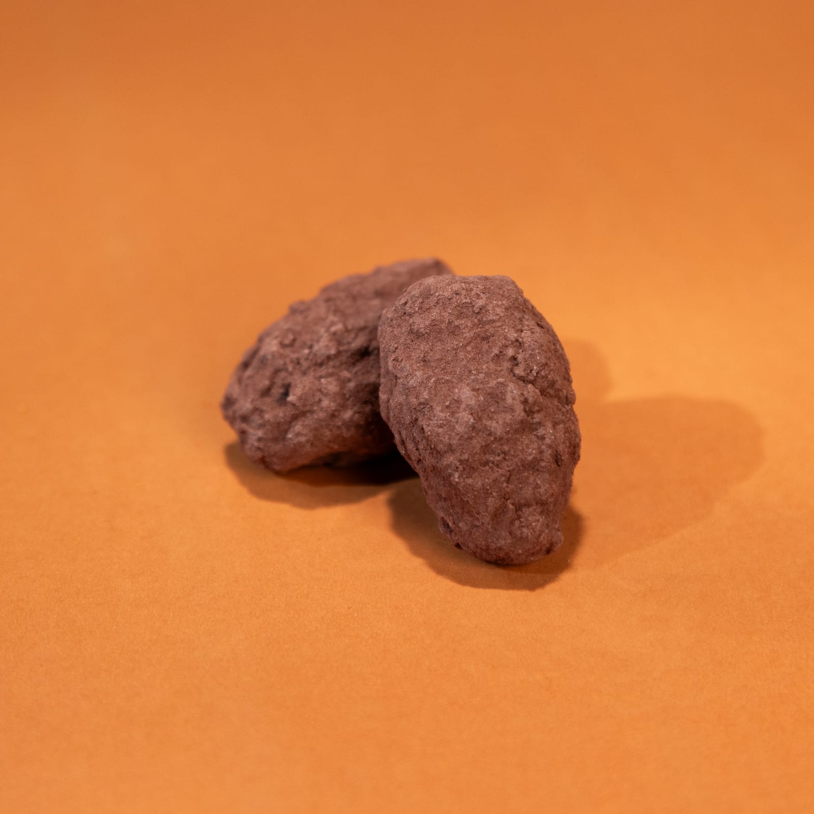 Ominya Delicacy Exquisite Medjool Dates Collection: Elegance in Every Bite – A Special Gift - 24 PCS