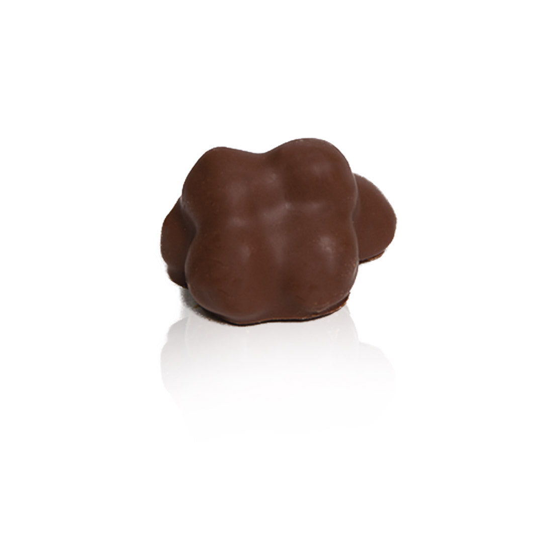 Chocolate Roche Hazelnut